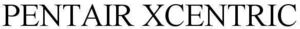 Image for mark 1828498 PENTAIR XCENTRIC