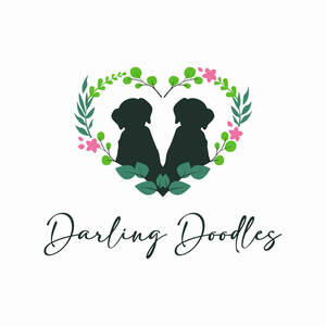 Image for mark UK00004277969_1of2 DARLING DOODLES