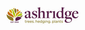 Image for mark UK00004294833 EST 1949 ashridge trees. hedging. plants