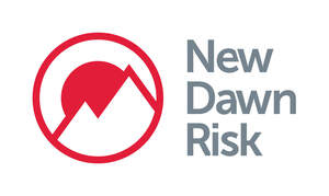 Image for mark UK00004295990_1of2 NEW DAWN RISK