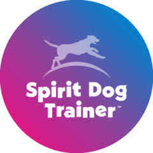 Image for mark UK00004345537 Spirit Dog Trainer