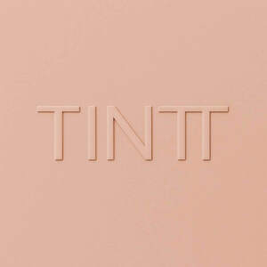 Image for mark UK00004231745 TINTT