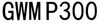 Image for mark GWM P300