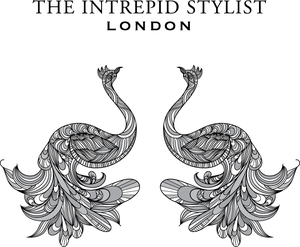 Image for mark UK00003083143 The Intrepid Stylist London