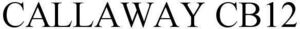 Image for mark 1853051 CALLAWAY CB12