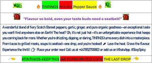 Image for mark UK00004191485 TINTINOS Hot Hot Pepper Sauce Flavour so bold, even your taste buds need a seatbelt! Turns every dish into a masterpiece One drop, and you're hooked Love the heat Crave the flavour Experience the thrill WhatsApp #StaySpicy