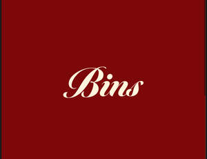 Image for mark UK00004202329 BINS