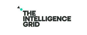 Image for mark UK00004204270_1of2 THE INTELLIGENCE GRID