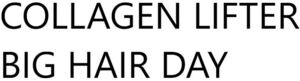 Image for mark 1854591 COLLAGEN LIFTER BIG HAIR DAY