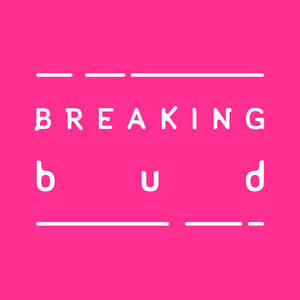 Image for mark UK00004204760_1of2 BREAKING b u d
