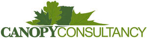 Image for mark UK00004207339 CANOPY CONSULTANCY