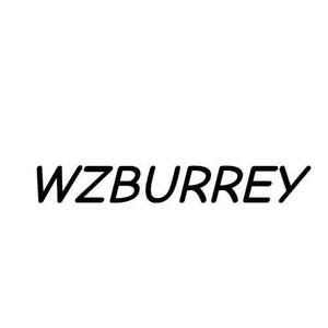 Image for mark UK00004210966 WZBURREY