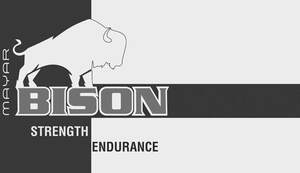 Image for mark UK00004212260_1of3 BISON MAYAR STRENGTH ENDURANCE