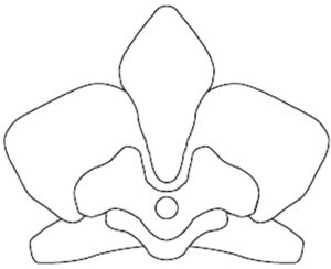 Image for mark 1858129 