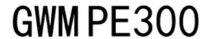 Image for mark GWM PE300 GWM PE300
