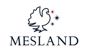 Image for mark UK00004213958 MESLAND