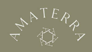 Image for mark UK00004219631 AMATERRA