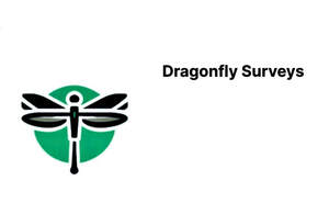 Image for mark UK00004209544 DRAGONFLY SURVEYS