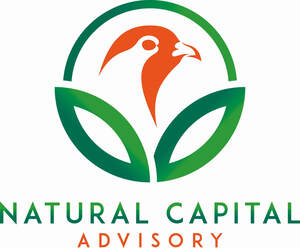 Image for mark UK00004220633_1of2 NATURAL CAPITAL ADVISORY