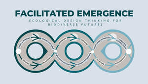 Image for mark UK00004224568 FACILITATED EMERGENCE ECOLOGICAL DESIGN THINKING FOR BIODIVERSE FUTURES SEEING PATTERNS WEAVING CREATING CONNECTIONS DREAMING DEEP LISTENING NURTURING POTENTIALS IMAGINING FUTURES OPENING PLANTING BEHOLDING DESIGNING PATHWAYS FLOURISHING