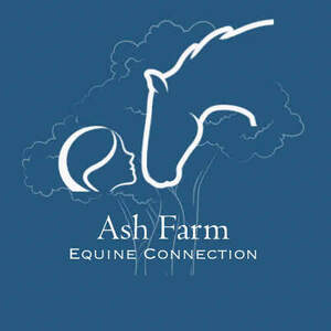 Image for mark UK00004226732 ASH FARM EQUINE CONNECTION