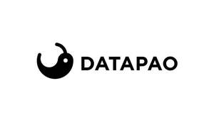 Image for mark UK00004228139_1of2 DATAPAO
