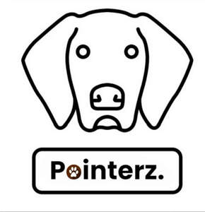 Image for mark UK00004231582 POINTERZ
