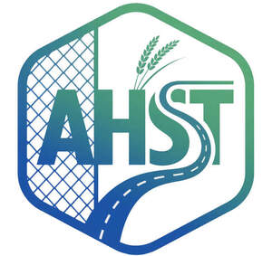 Image for mark UK00004242829 AHST