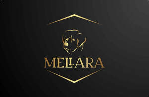 Image for mark UK00004245466 MELLARA