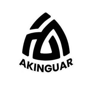 Image for mark UK00004246319 AKINGUAR