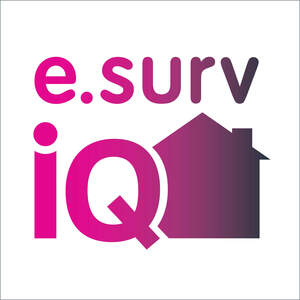 Image for mark UK00004246652_1of4 E.SURV İQ