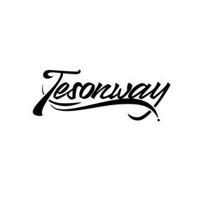 Image for mark UK00004247170 Tesonway