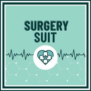Image for mark UK00004254538 SURGERY SUIT