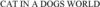 1871446 Image for mark 1871446