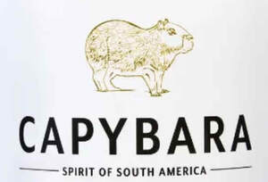 Image for mark UK00004266140 CAPYBARA SPIRIT OF SOUTH AMERICA