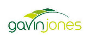Image for mark UK00004251314_1of4 GAVIN JONES