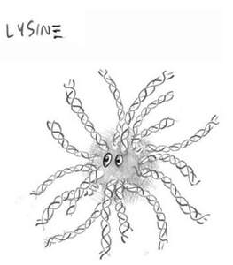 Image for mark UK00004257537 LYSIN&equiv;