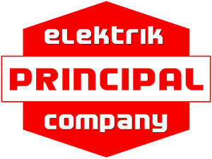 Image for mark UK00004265727 ELEKTRIK PRINCIPAL COMPANY