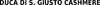 Image for mark 1868911_TIF