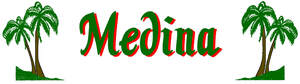 Image for mark UK00004234673 MEDINA