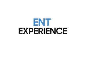 Image for mark UK00004271335_1of2 ENT EXPERIENCE