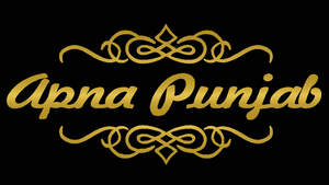 Image for mark UK00004272910 Apna Punjab