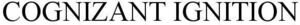 Image for mark 1880119 COGNIZANT IGNITION