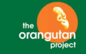 Image for mark UK00004275645 THE ORANGUTAN PROJECT