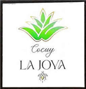 Image for mark UK00004279738 COCUY LA JOYA