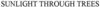 1882828 Image for mark 1882828