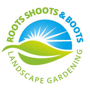 Image for mark UK00004287241 Roots Shoots & Boots
