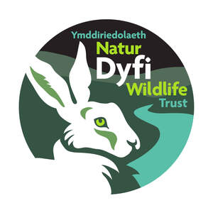 Image for mark UK00004287695 YMDDIRIEDOLAETH NATUR DYFI WILDLIFE TRUST