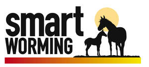 Image for mark UK00004290500 SMART WORMING