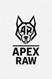 Image for mark UK00004296190 AR APEX RAW